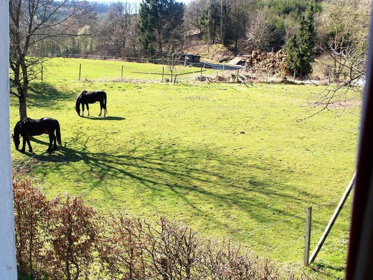 Ferienwohnung Peitz Eslohe Esterno foto