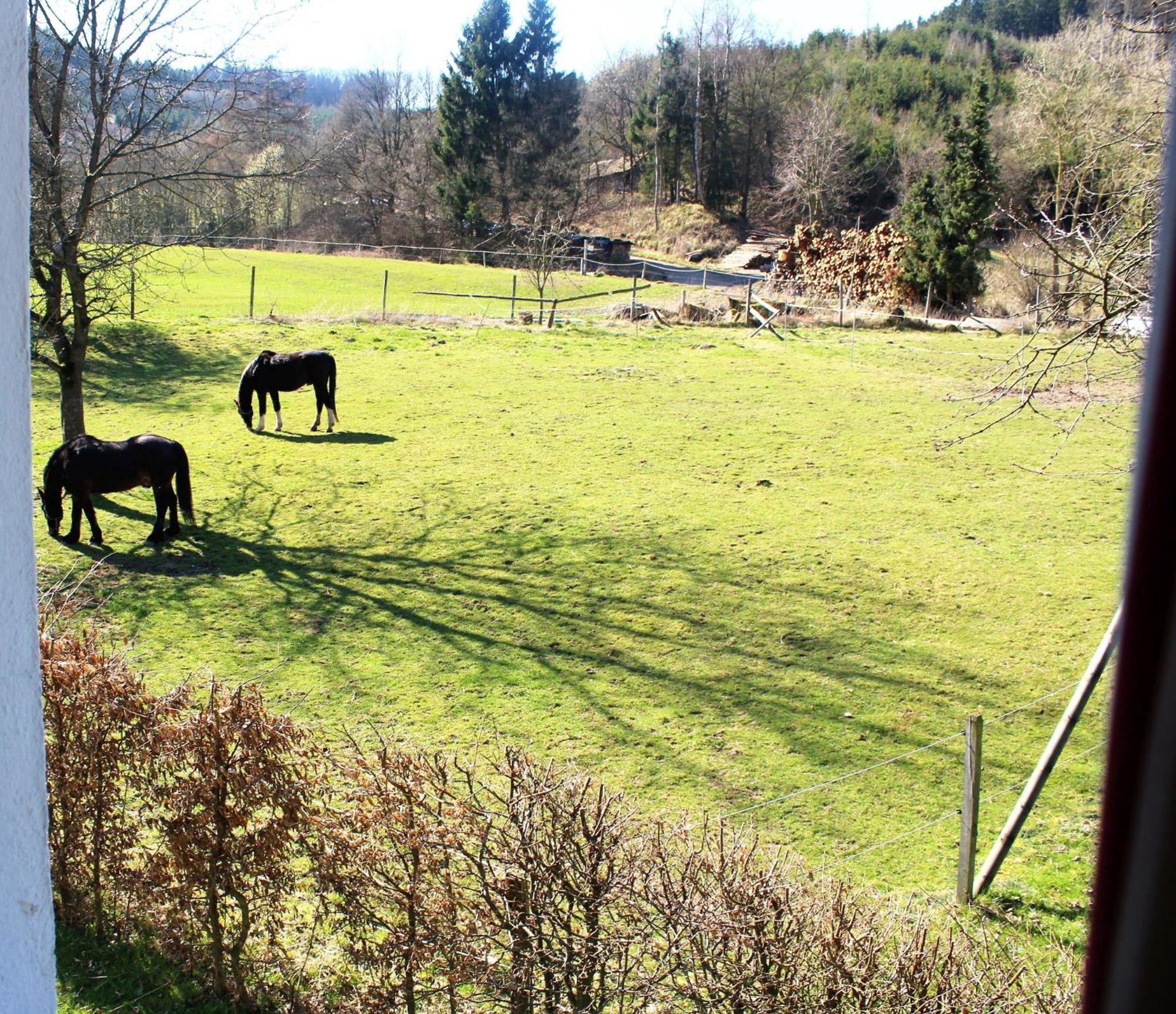 Ferienwohnung Peitz Eslohe Esterno foto